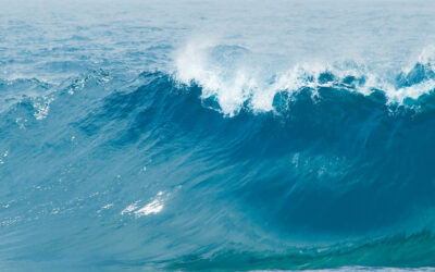 海水的力量：来自大自然的可再生能源